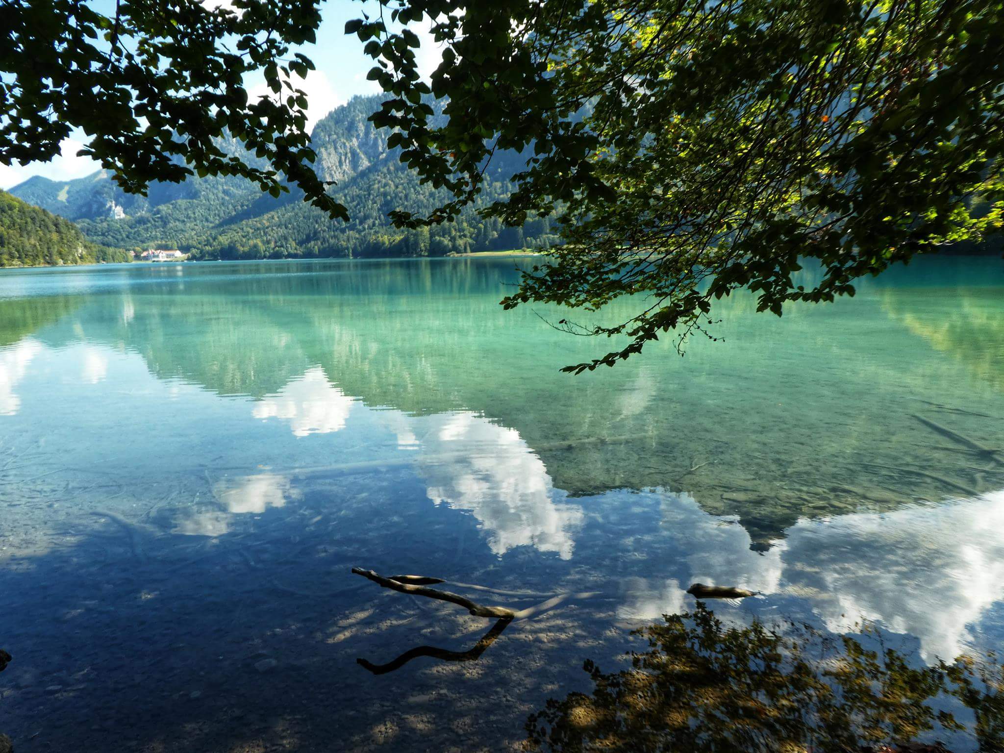 Naturheilkunde, Naturheilpraxis